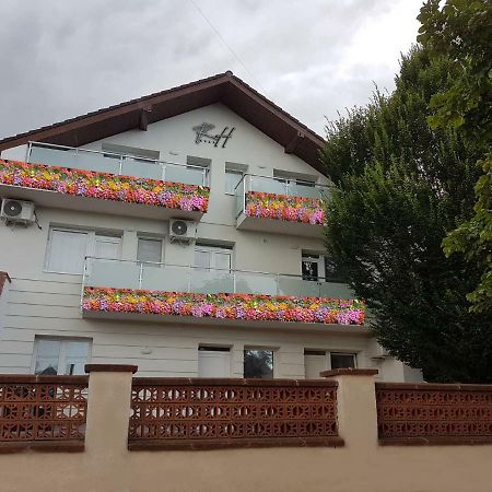 Heviz Springs Apartments - ออลโชปาโฮค ภายนอก รูปภาพ